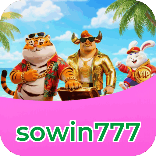 Interface sowin777